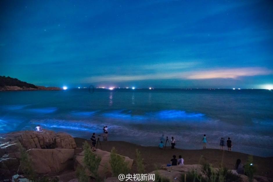 发现冷知识的我该不该和他结婚?平台