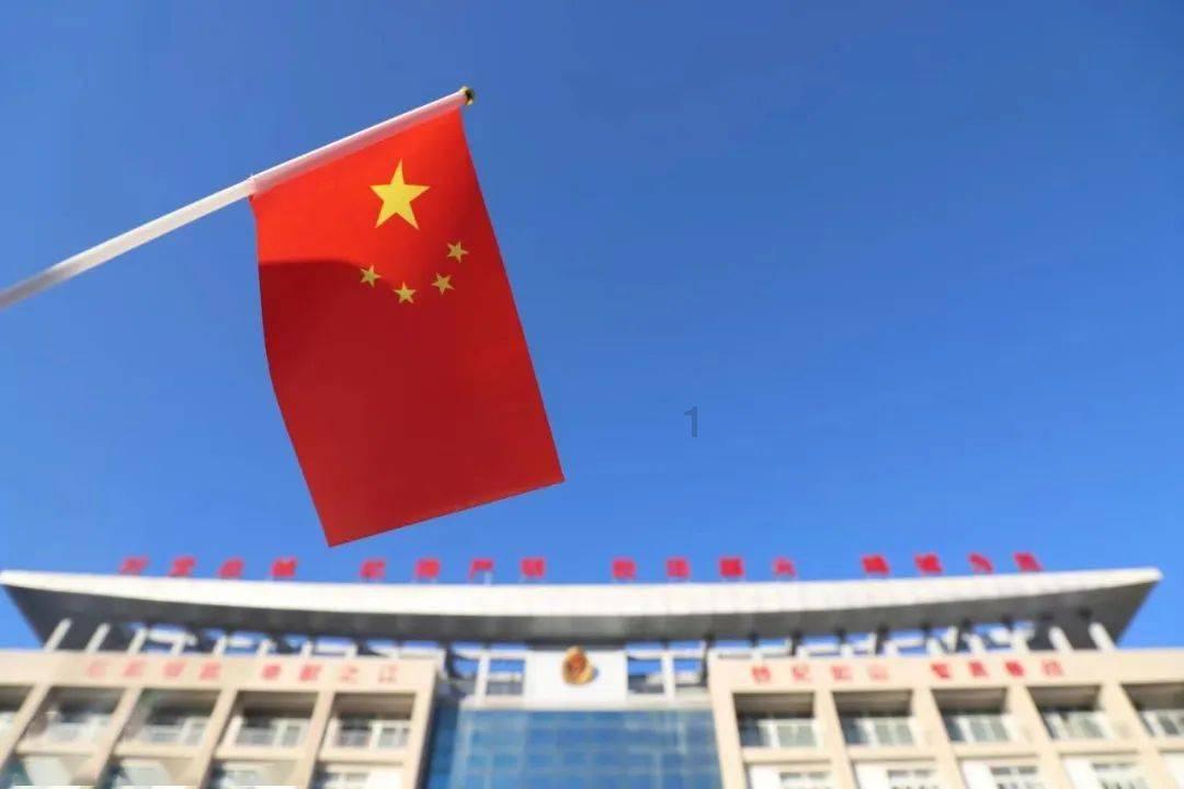 春雨直播app